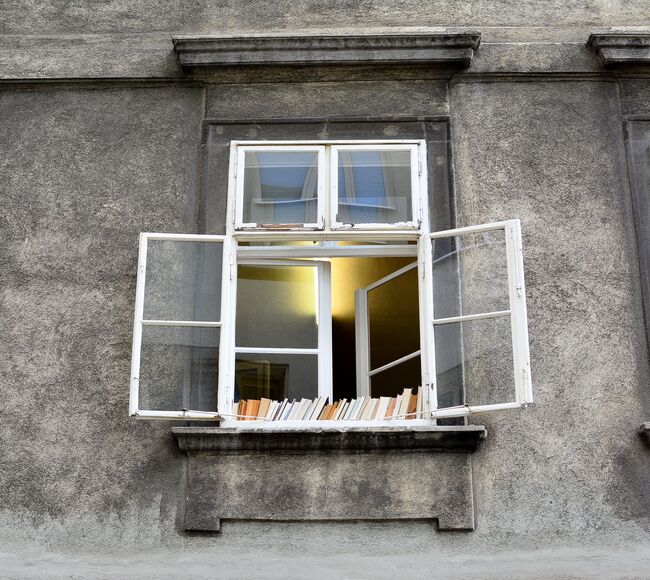 Altes Doppelfenster mit Büchern