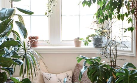 Fenster mit hellem gemütlichen Sitzbereich und Pflanzen